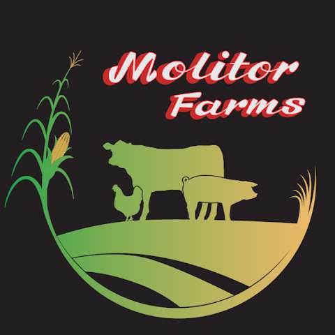 Molitor Farms